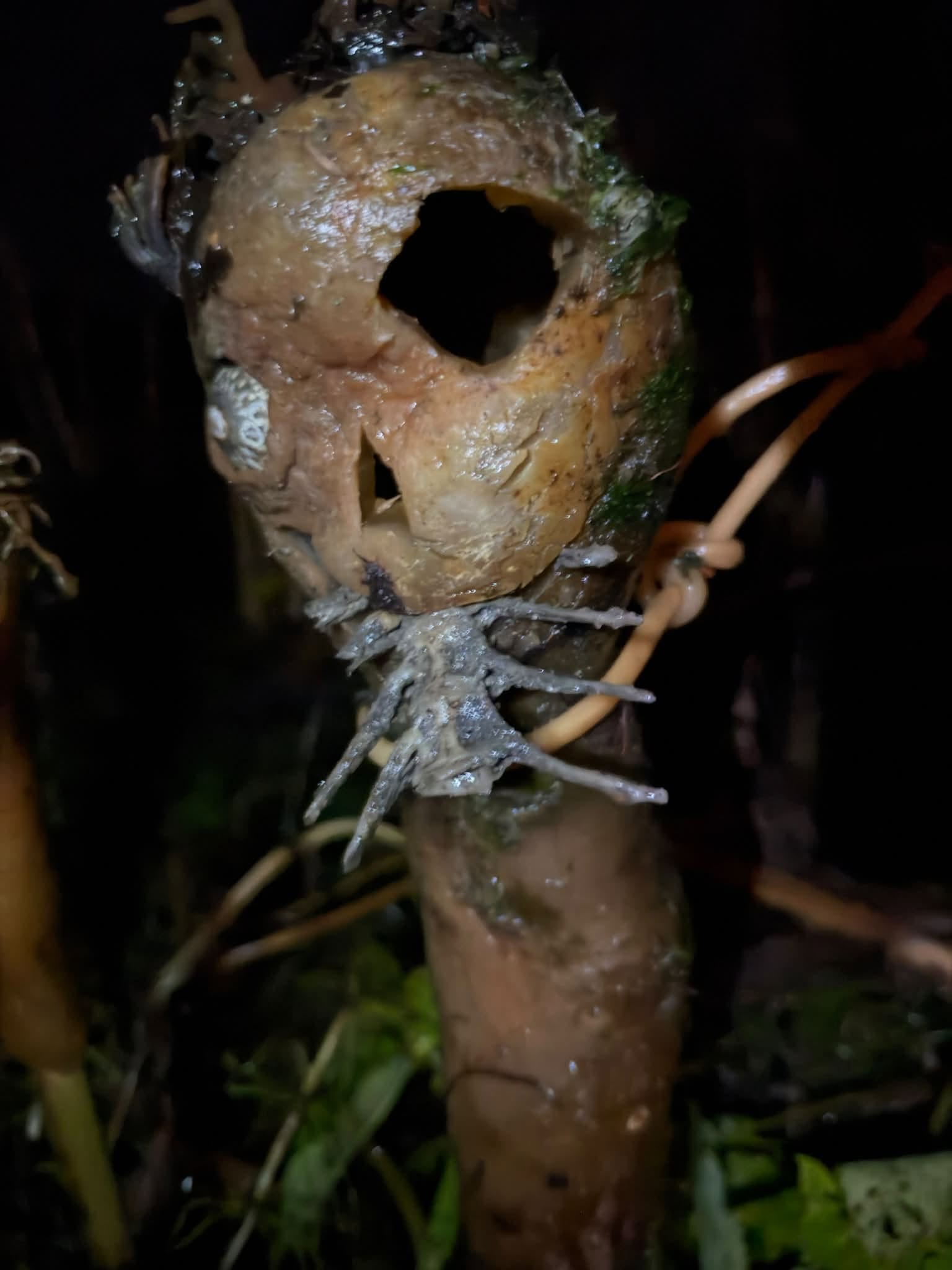 Post image 2