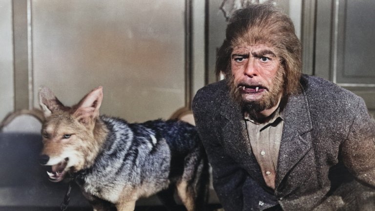 Hairy man with sharp teeth who looks like a werewolf stands next to a stuffed wolf.