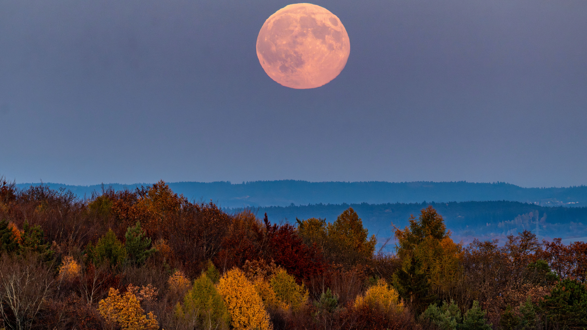 popsci.com - Tom Hawking - November skygazing: Planetary alignments, a supermoon, comet, and more