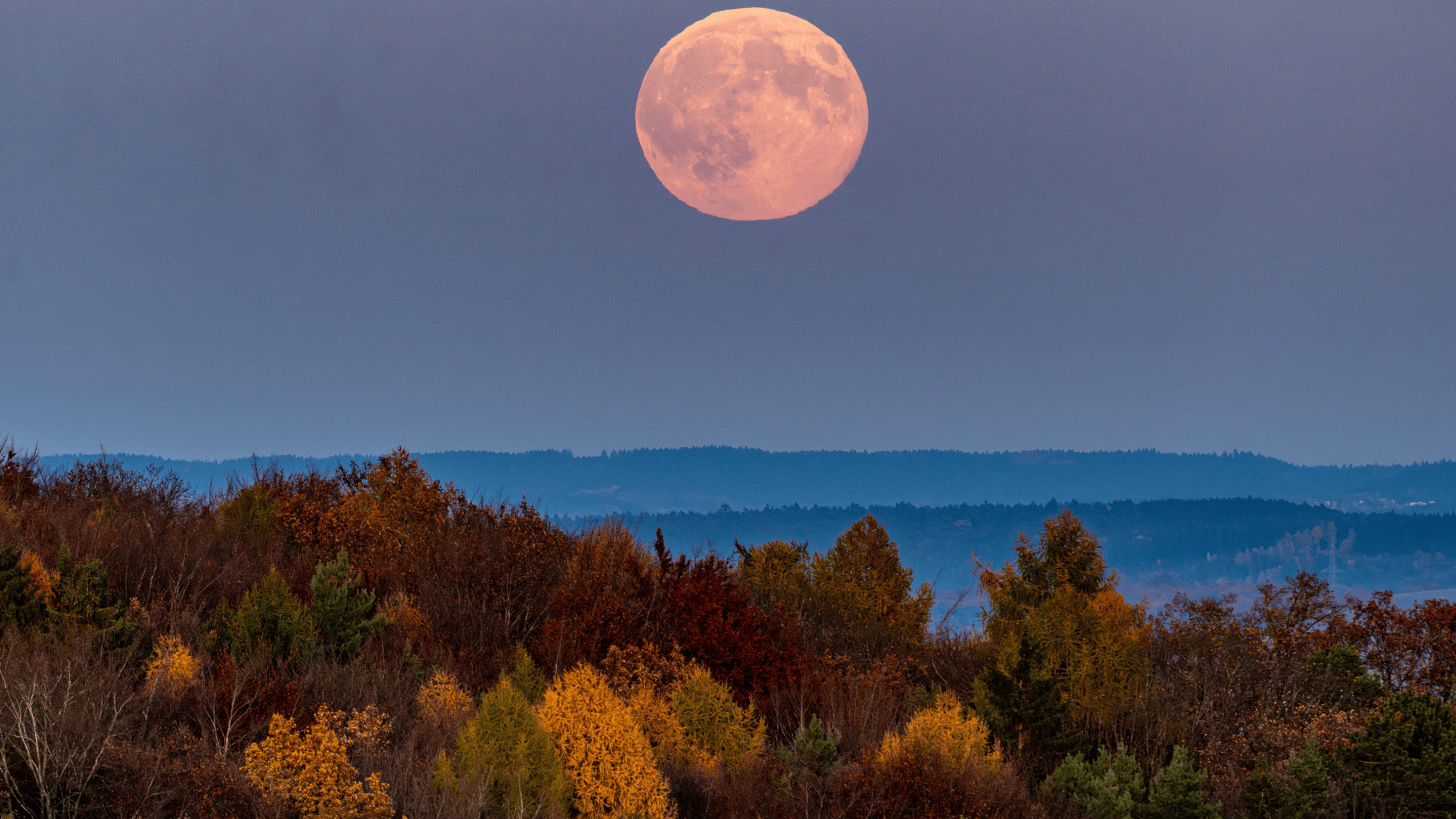 November skygazing: Planetary alignments, a supermoon, comet, and more