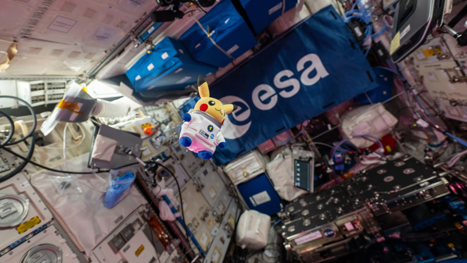 Pikachu spent 67 days in space | Popular Science