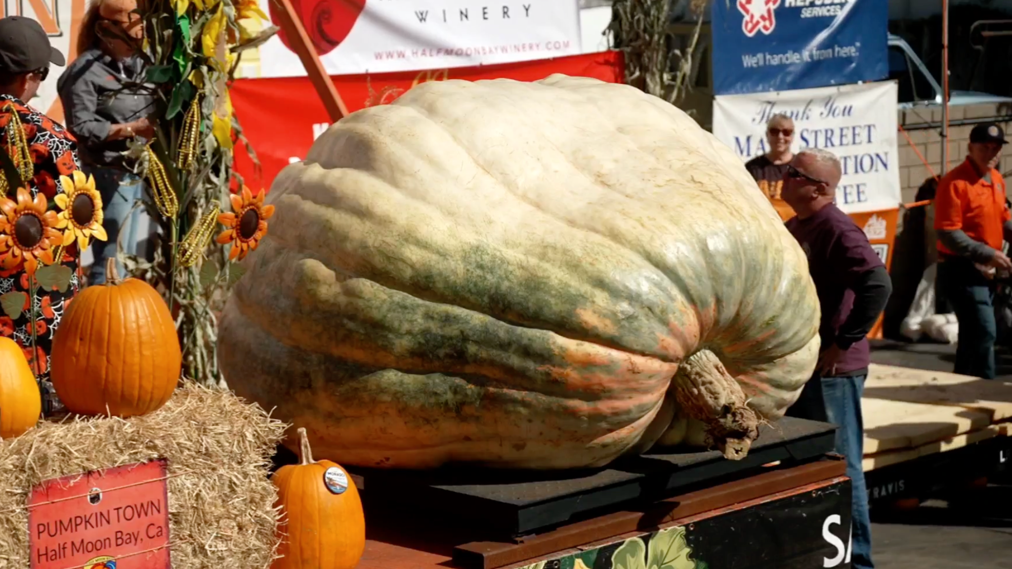 Rocky the pumpkin wins ‘Superbowl of Pumpkin Weigh Offs’ at 2,289 pounds