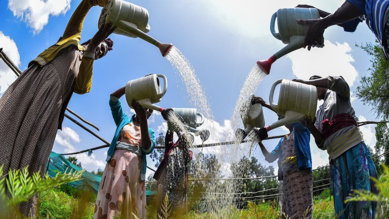 Women water seedlings at a nursery with watering cans.