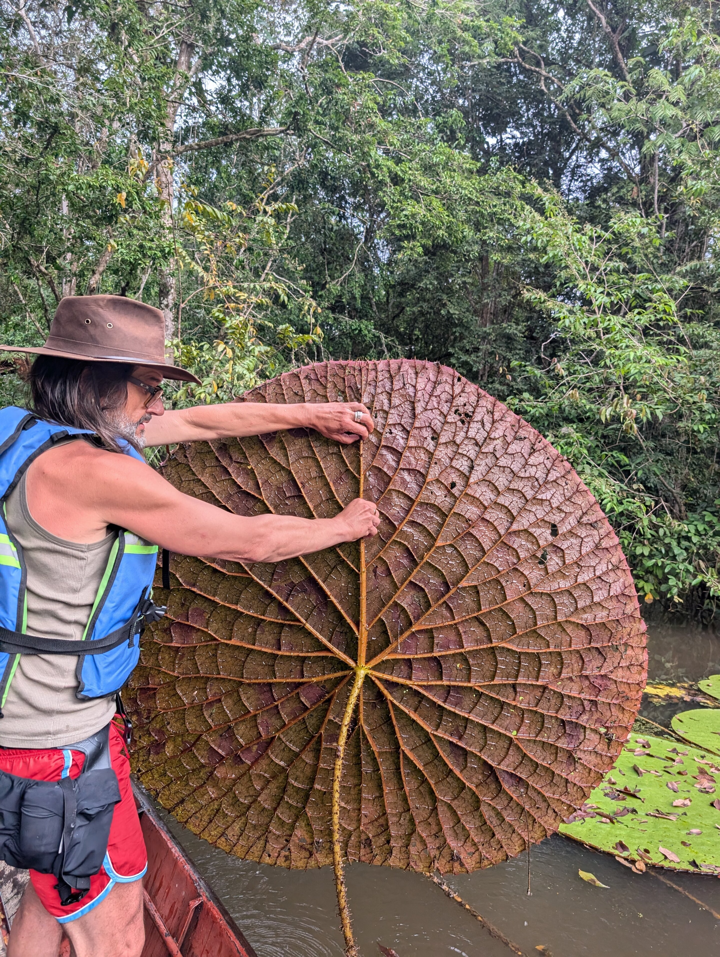 a man holds up the brown bottom of a lilypad