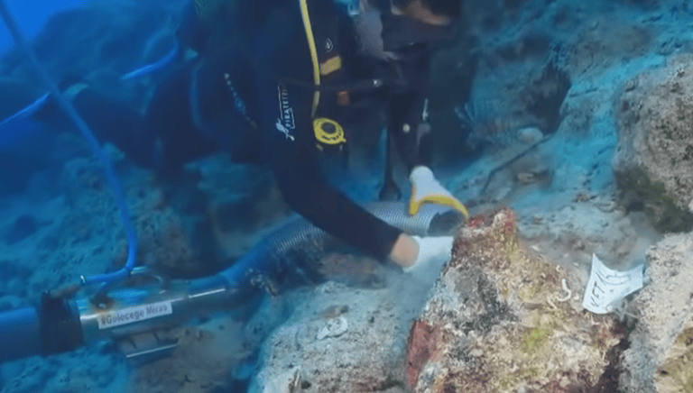 person investigating shipwreck