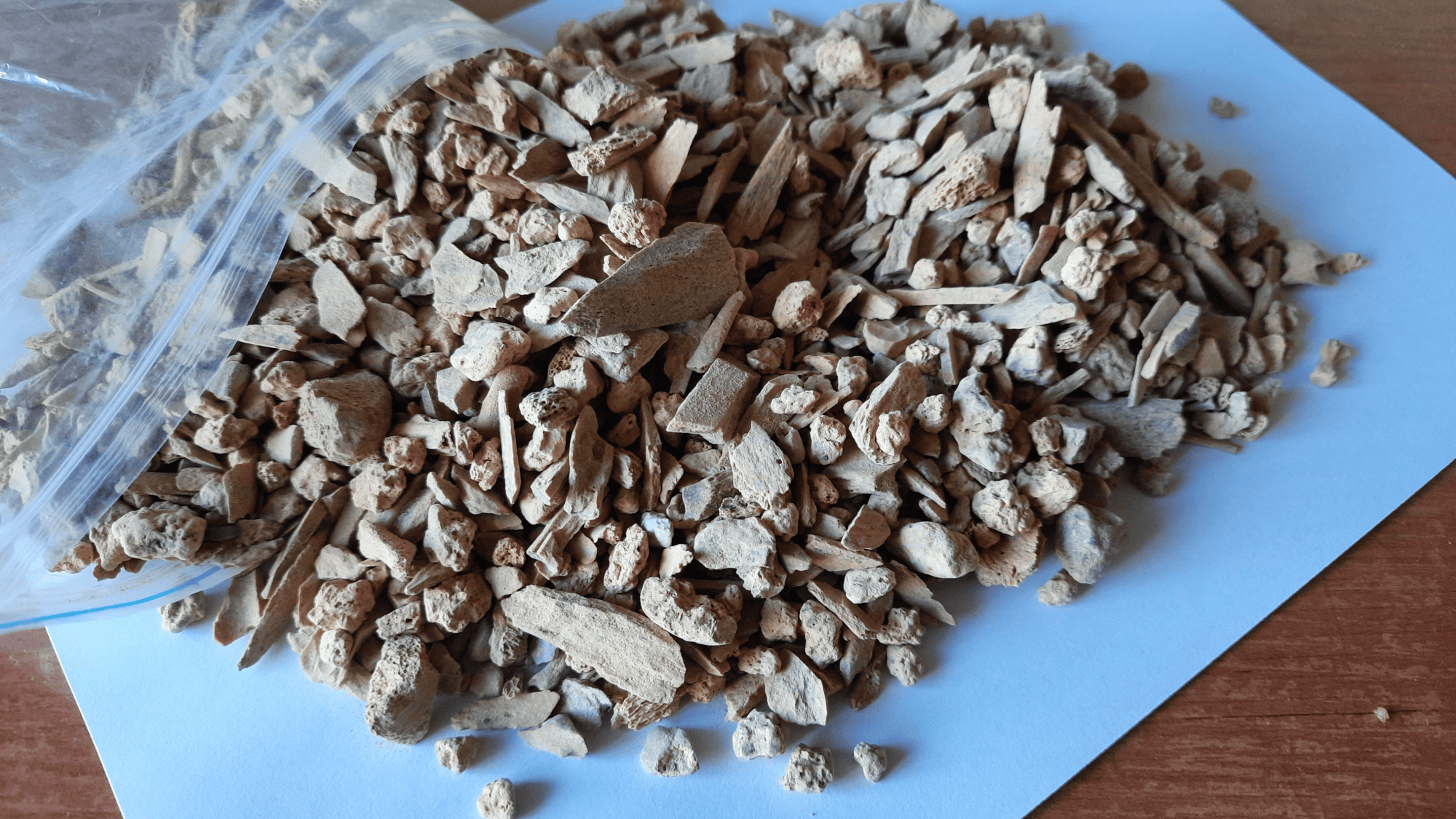 bone fragments