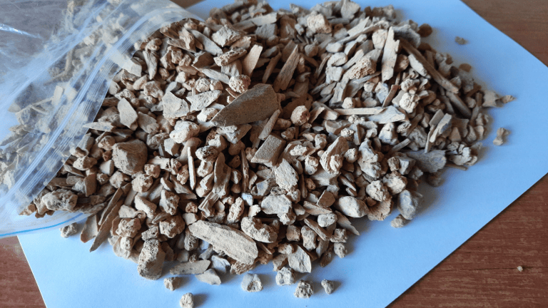 bone fragments